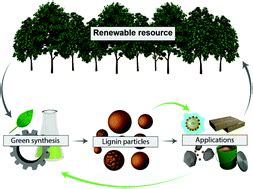  Lignin - Vật liệu xanh cho tương lai bền vững của ngành công nghiệp hóa học!