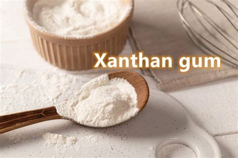  Xanthum Gum: Unveiling the Versatile Biopolymer for Enhanced Viscosity and Texture!