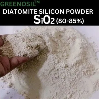 Diatomite: A Closer Look at Its Potential for Filtration and Insulation!