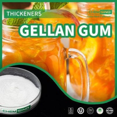  Gellan Gum – Vật Liệu Hỗ Trợ Kết Cấu Và Tăng Thẩm Nhất Cho Sản Phẩm Thực Phẩm!