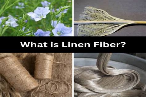  Linen Fiber: Its Role as a Bio-Based Reinforcement Material and Potential for Sustainable Textiles!