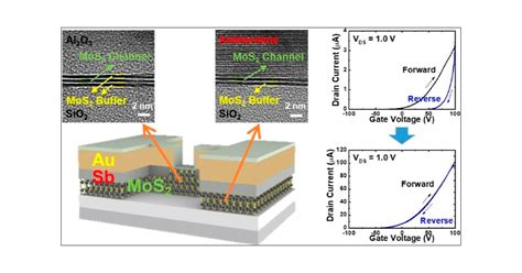 Molybdenum Disulfide: Unveiling a Promising 2D Material for Next-Generation Energy Storage!